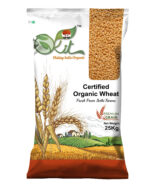 Best Image of Wheat